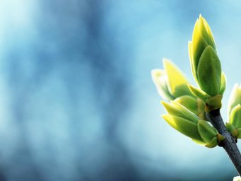 Синоптик: На Пасху в Украине местами пройдут небольшие дожди (КАРТА)