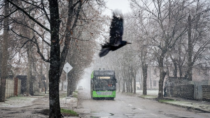 У Харкові 3 лютого змінять маршрути тролейбусів і запровадять тимчасові автобуси