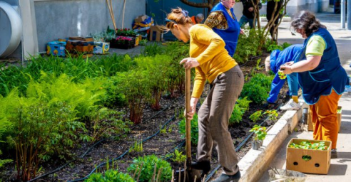 На территории &laquo;Теплосетей&raquo; садят цветы