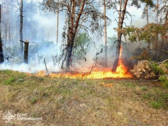 Масовані удари по Харківщині: 9 поранених, серед них діти &ndash; про ситуацію станом на 5 травня