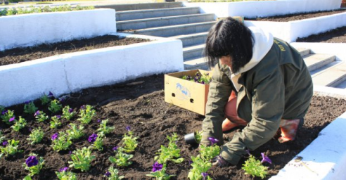 В Харькове начали высаживать цветы на мемориалах