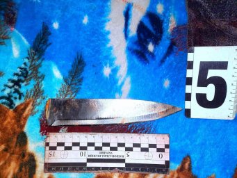 Ранее судимый в Харьковской области ранил ножом 4-х человек: спорили о наследстве