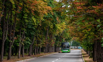 Низка трамваїв і тролейбусів тимчасово змінила маршрути